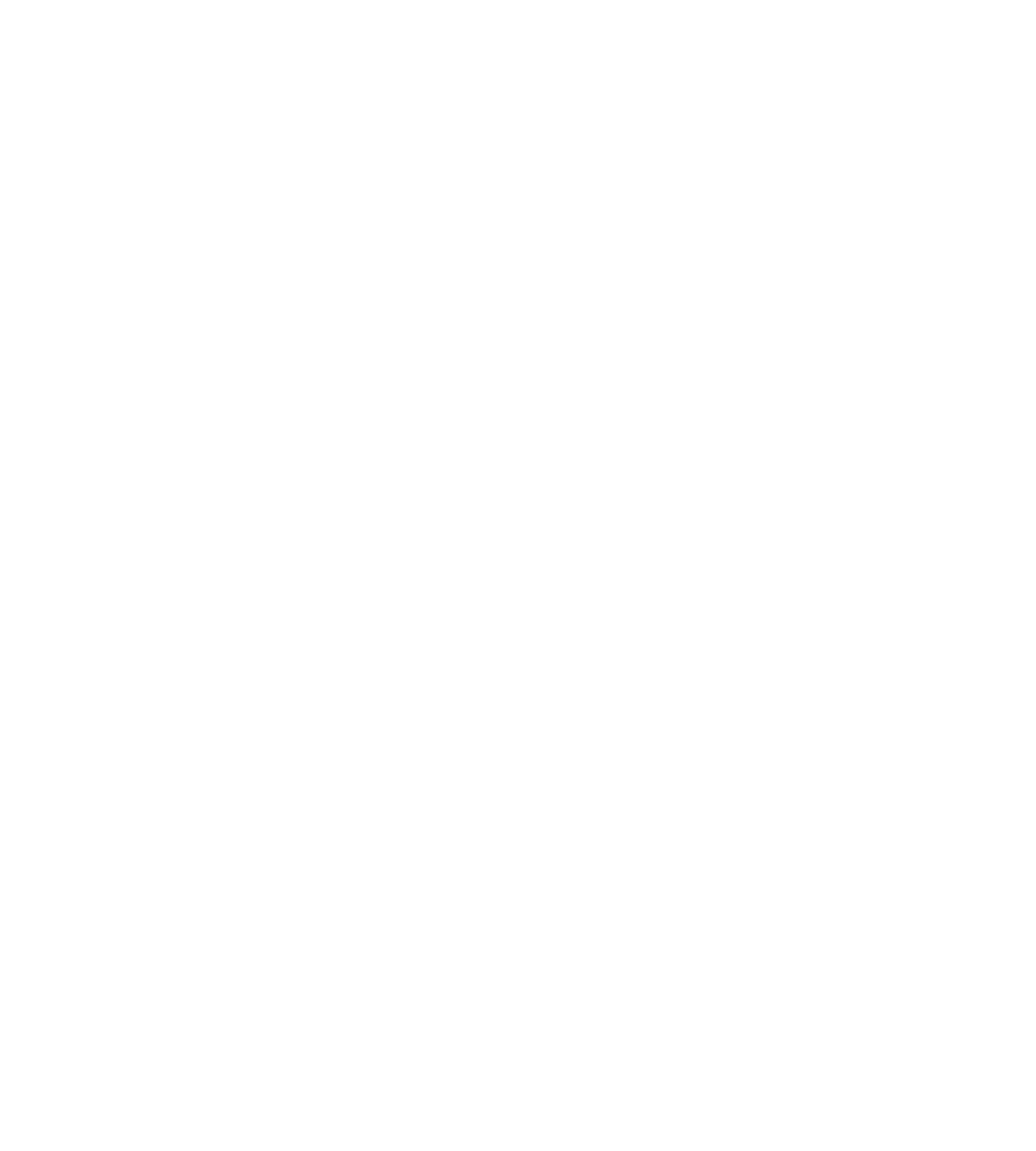 Nostra Veridicus
